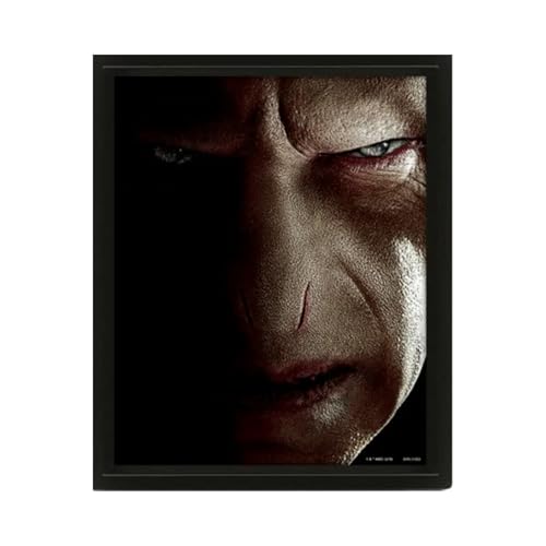 Harry Potter Harry/Voldemort Lenticular 3d Poster
