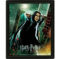 Harry Potter Deathly Hollows Lenticular 3d Poster