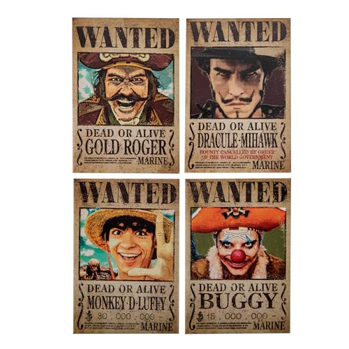 One Piece Magnet Set 4 Calamite
