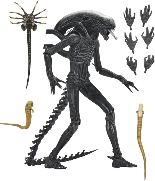 Alien Romulus Ultimate Xenomorph Xx121 Action Figure 18 Cm